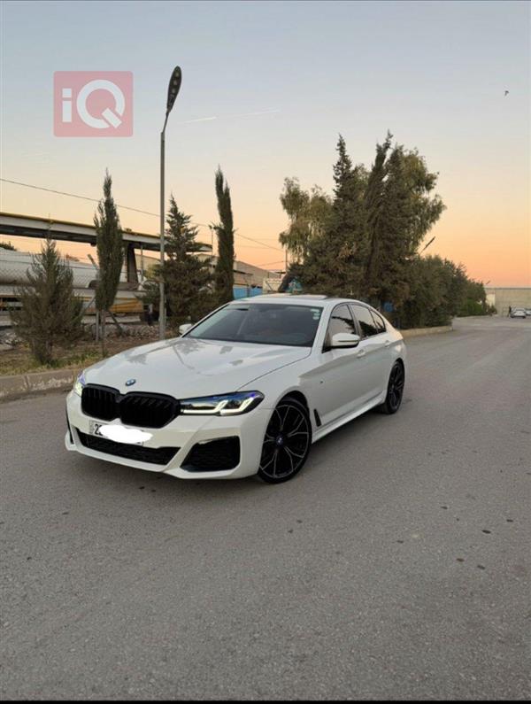 بي ام دبليو الفئة 5 2019 للبيع في العراق - اربيل